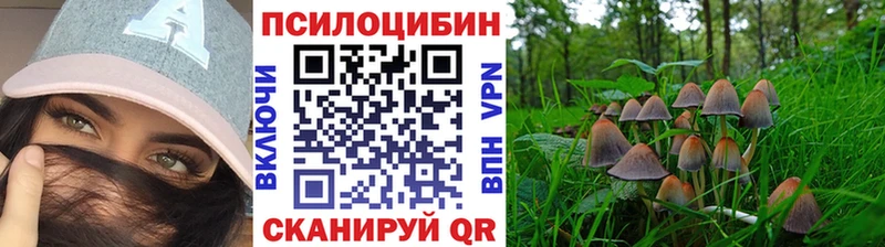 Галлюциногенные грибы GOLDEN TEACHER  Купить где  Волосово 